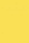 F1485-e1511514604921-100x150 Gul